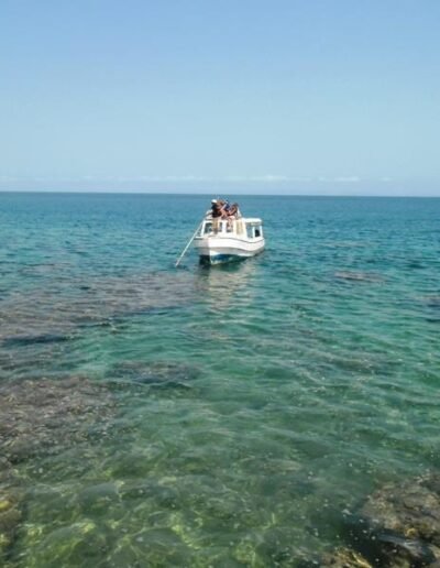 bateau excursion baleine